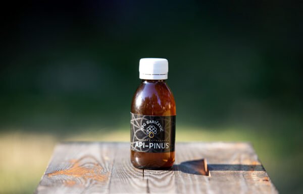 Api Pinus